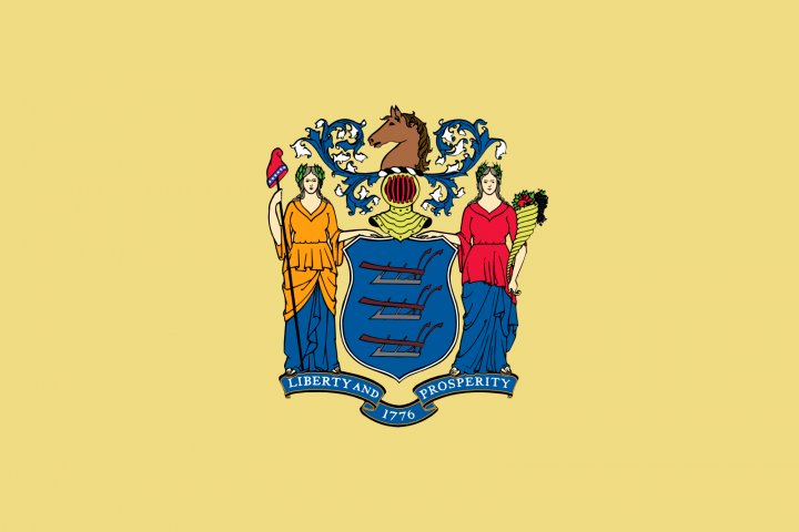 The New Jersey state flag