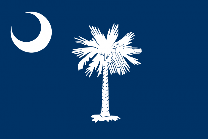 The South Carolina state flag