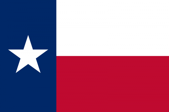The Texas state flag