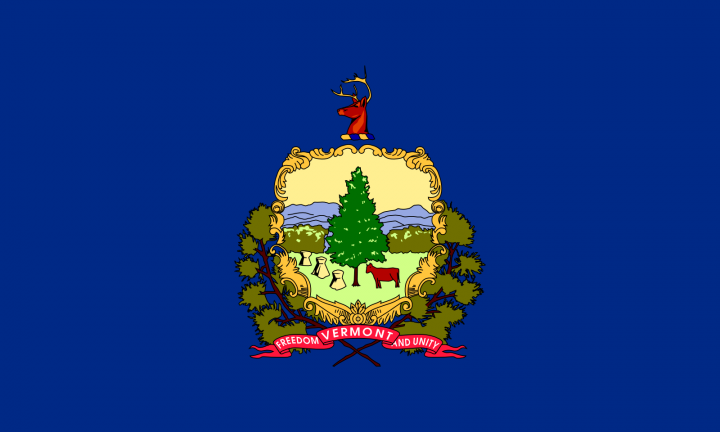 The Vermont state flag