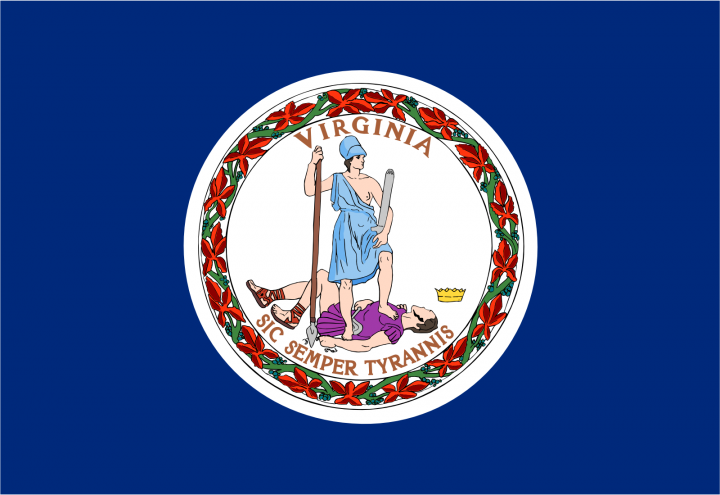 The Virginia state flag